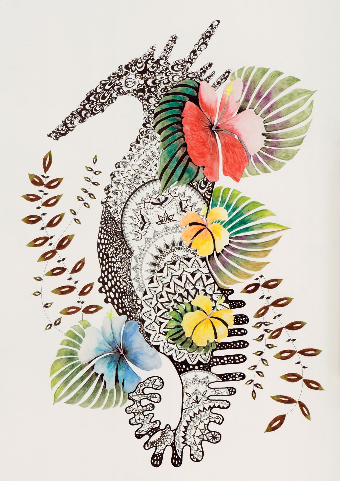 ハイビスカス　タツのオトシゴ